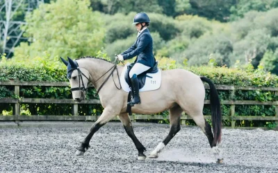 What Happens During a Horse Boot Camp?