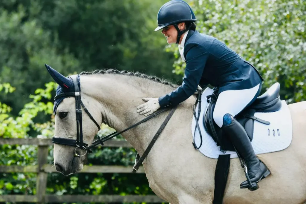 gelding